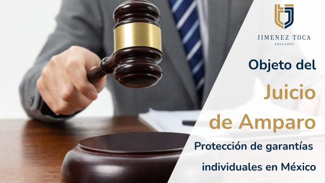 El objeto del juicio de amparo: Protección de garantías individuales en México